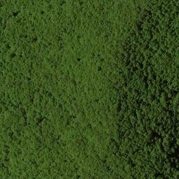 Satellite imagery of Chinquapin Ridge, US