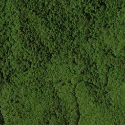 Satellite imagery of Chinquapin Ridge, US