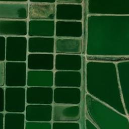 Satellite imagery of WPA — NGS EH1845 — Lonoke County, US, US