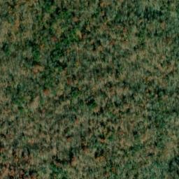 Satellite imagery of Clemmons Point, US