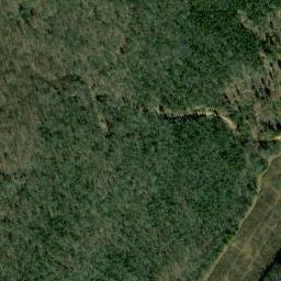 Satellite imagery of Garner Ridge, US