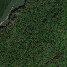 Satellite imagery of Inglis Point, US