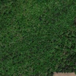 Satellite imagery of Inglis Point, US
