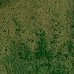 Satellite imagery of Coon Den Ridge, US