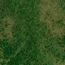 Satellite imagery of Coon Den Ridge, US