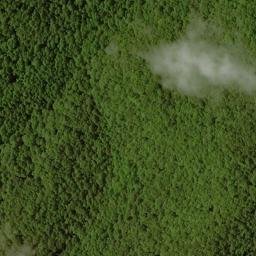 Satellite imagery of Chinquapin Ridge, US