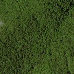 Satellite imagery of Chinquapin Ridge, US
