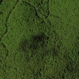 Satellite imagery of Chinquapin Ridge, US
