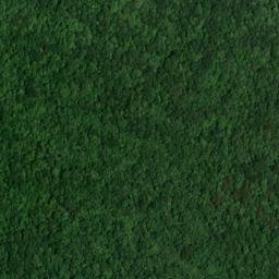 Satellite imagery of Cornelison Point, US