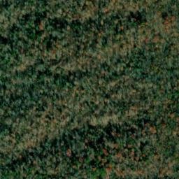 Satellite imagery of Evett Point, US
