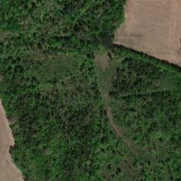 Satellite imagery of Inglis Point, US