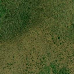 Satellite imagery of Coon Den Ridge, US