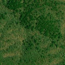 Satellite imagery of Coon Den Ridge, US