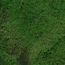 Satellite imagery of Worley Ridge, US