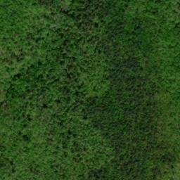 Satellite imagery of Worley Ridge, US