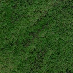 Satellite imagery of Worley Ridge, US