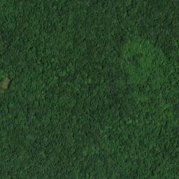 Satellite imagery of Rutledge Point, US