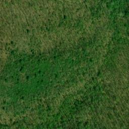 Satellite imagery of Hicks Gap Ridge, US