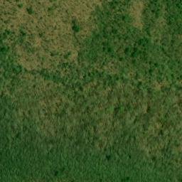 Satellite imagery of Coon Den Ridge, US