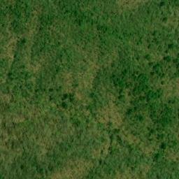 Satellite imagery of Coon Den Ridge, US