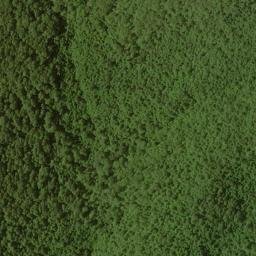 Satellite imagery of Wolfpen Ridge, US