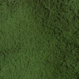 Satellite imagery of Wolfpen Ridge, US