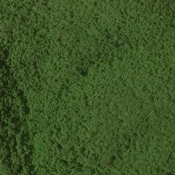 Satellite imagery of Wolfpen Ridge, US