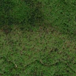 Satellite imagery of Worley Ridge, US