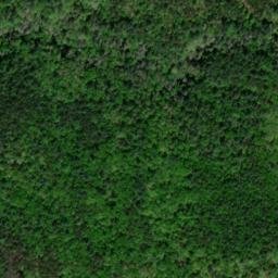 Satellite imagery of Wiley Mountain, US