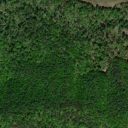 Satellite imagery of Wiley Mountain, US