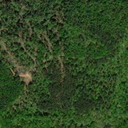 Satellite imagery of Wiley Mountain, US
