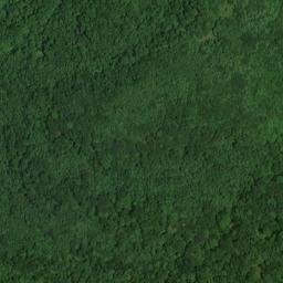 Satellite imagery of Rutledge Point, US