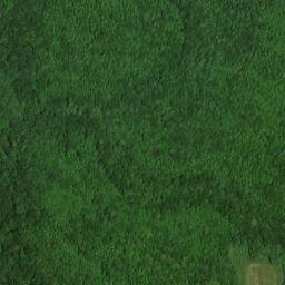 Satellite imagery of Rutledge Point, US