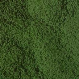 Satellite imagery of Wolfpen Ridge, US