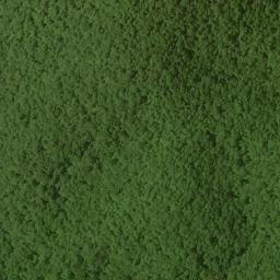 Satellite imagery of Wolfpen Ridge, US