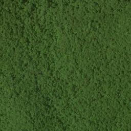 Satellite imagery of Wolfpen Ridge, US