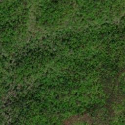 Satellite imagery of Worley Ridge, US