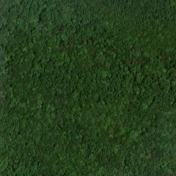 Satellite imagery of Rutledge Point, US