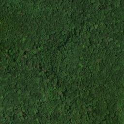 Satellite imagery of Rutledge Point, US