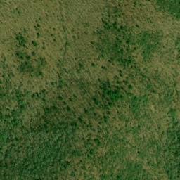 Satellite imagery of Hurricane Ridge, US