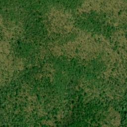 Satellite imagery of Hurricane Ridge, US