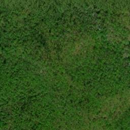 Satellite imagery of Wolfpen Ridge, US