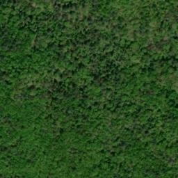 Satellite imagery of Dads Ridge, US