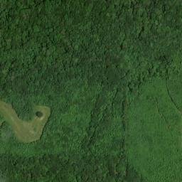 Satellite imagery of Threwer Point, US