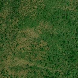 Satellite imagery of Hurricane Ridge, US