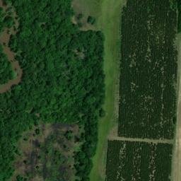 Satellite imagery of DANIEL RM 2 — NGS EH2094 — Lonoke County, US, US