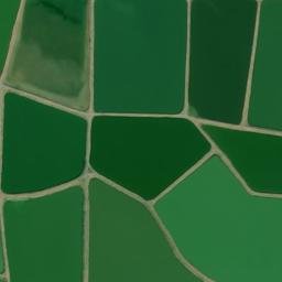 Satellite imagery of T 107 — NGS EH2119 — Lonoke, US, US