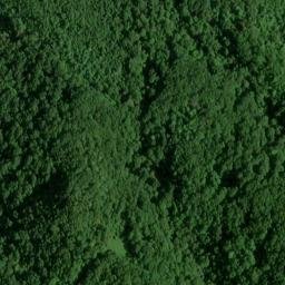 Satellite imagery of Fort Mountain Mine, US