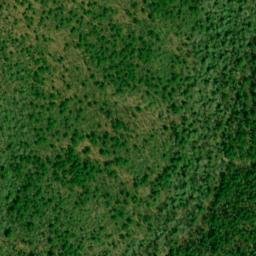 Satellite imagery of Hurricane Ridge, US