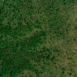 Satellite imagery of Hurricane Ridge, US
